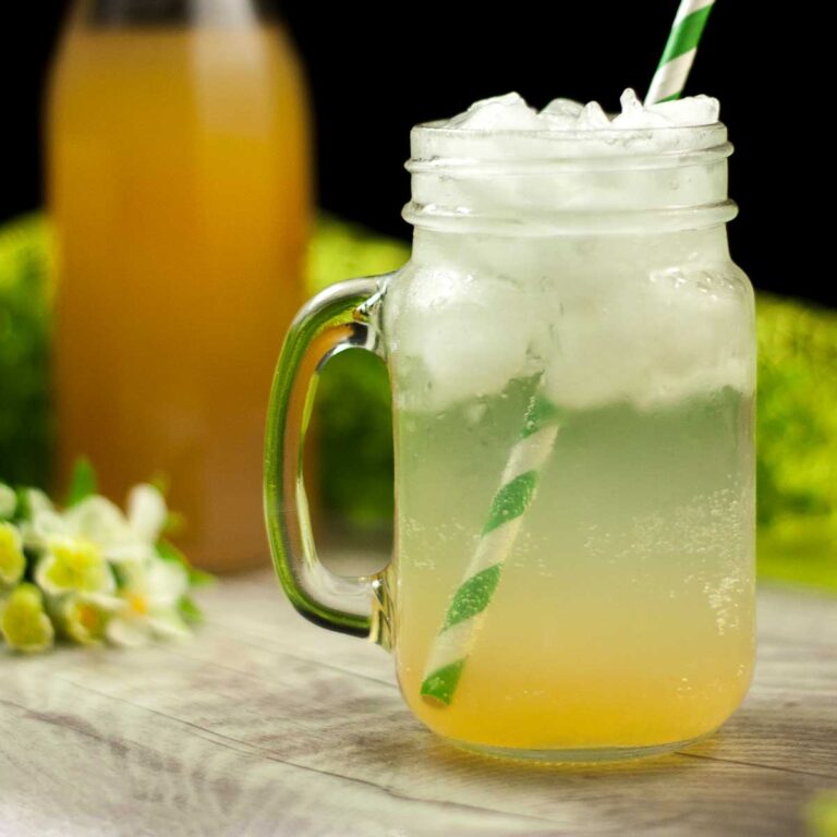 Der Low Carb Zitronen-Sirup ist perfekt für Limonaden oder Cocktails.